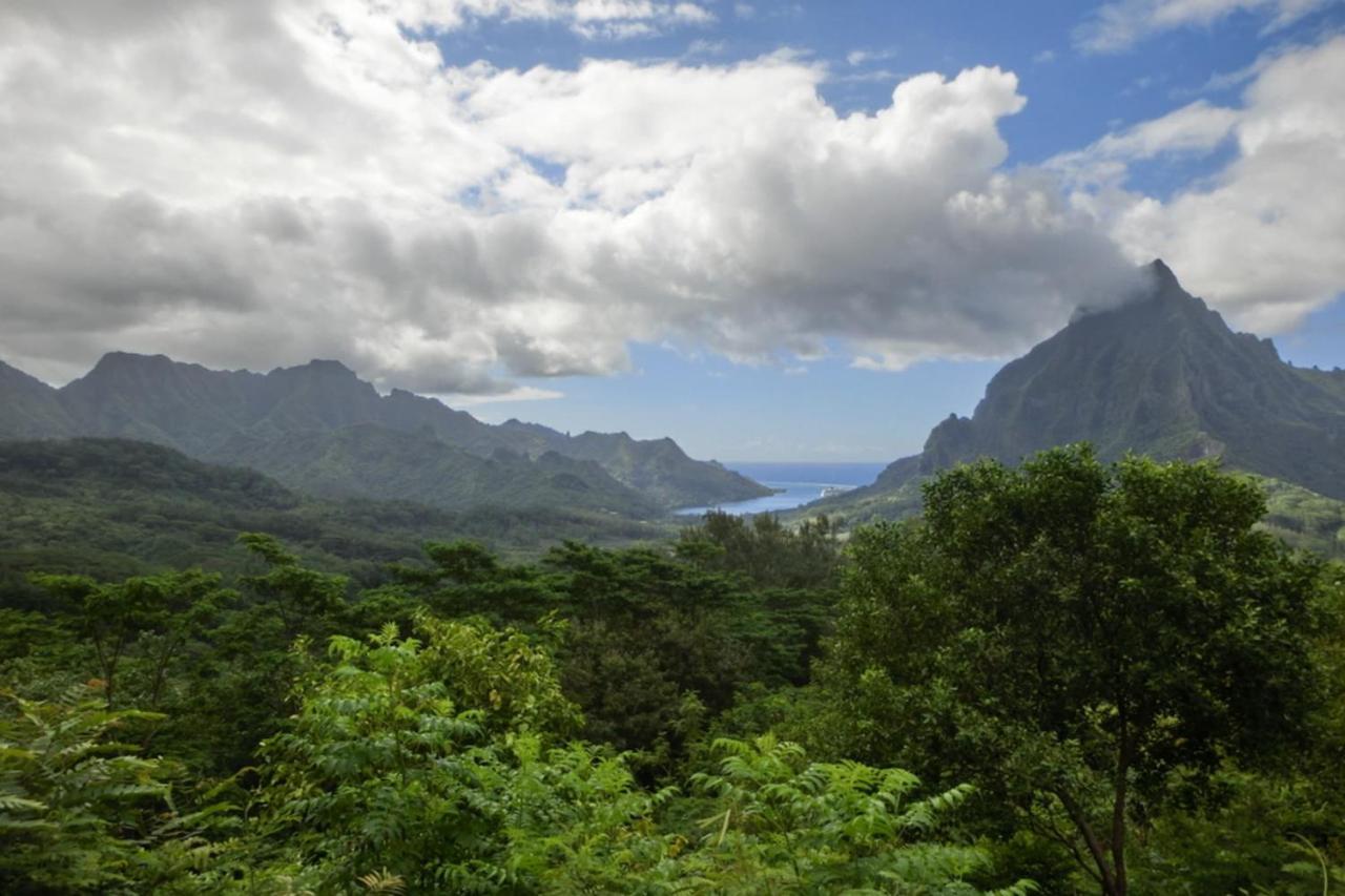 Appartamento Auti Studio Direct Access To The Beach On Moorea With Ac -Wifi - Netflix Haapiti Esterno foto